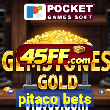 pitaco bets
